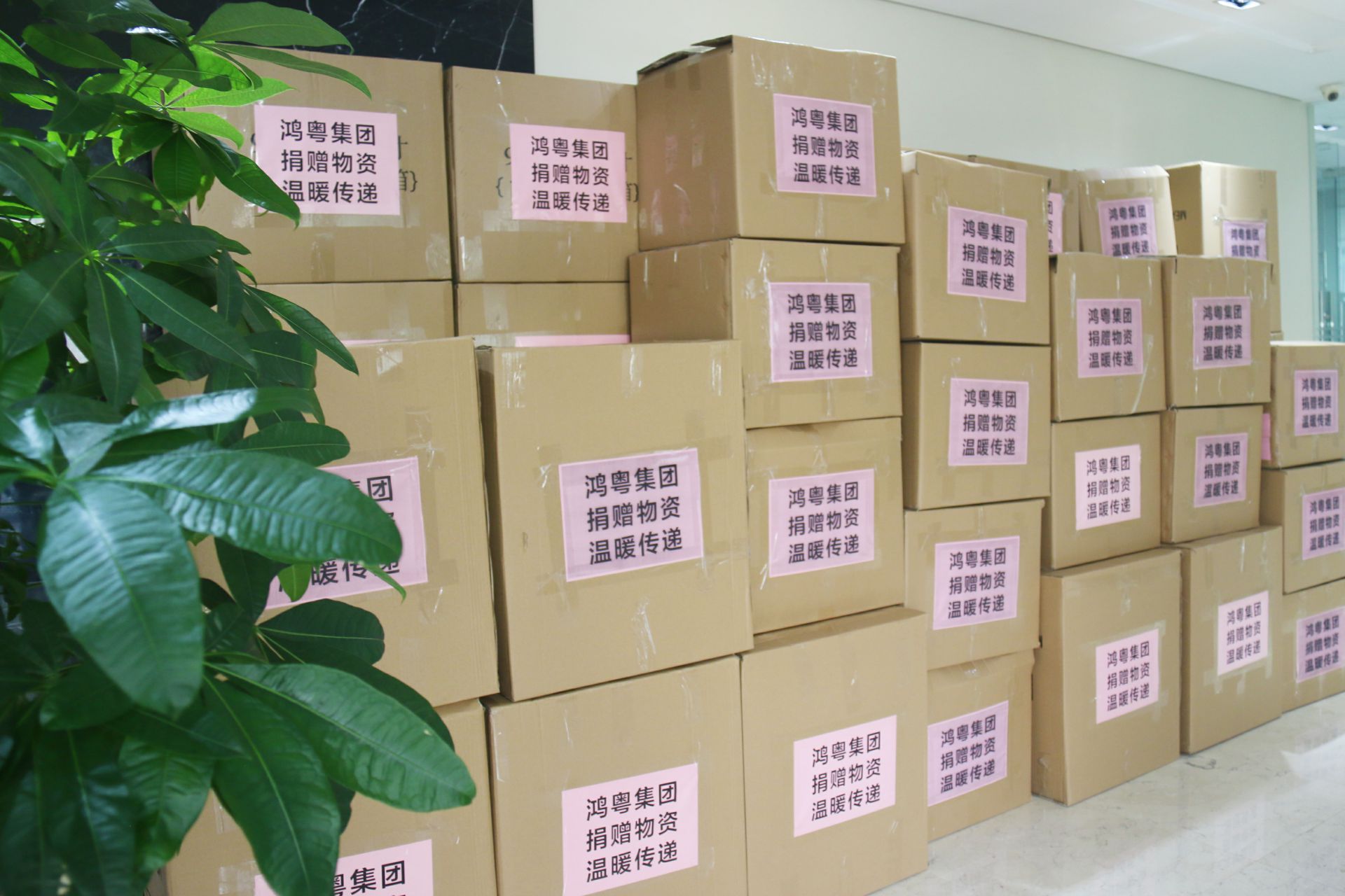 海口曾伟网络安全技术有限公司公益回顾丨家国同欢月同圆 温暖满载甘孜州(图1)